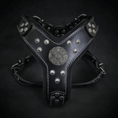 Load image into Gallery viewer, Bestia Dog Gear Maximus Harness Black & Silver Genuine Leather S/M by Bestia Dog Gear