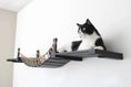 Bild in Galerie-Betrachter laden, Cat Wall Bridge and Shelf Set on dark gray wood shelves with rope bridge, tuxedo cat perched