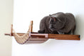 Bild in Galerie-Betrachter laden, Cat Wall Bridge and Shelf Set; gray cat perched on brown wooden shelf with rope accents.