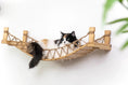 Bild in Galerie-Betrachter laden, Cat Bridge for Wall by Catastrophic Creations, wooden cat perch with rope net and resting cat