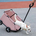 Load image into Gallery viewer, Pet Zen pink foldable pet stroller cart for small pets