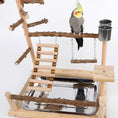 Bild in Galerie-Betrachter laden, Sichuan Pepper Parrot Climbing Training Platform Natural Solid Wood Frame Set With Size 37 26 45 by Sell My Stuff