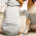 Charger l'image dans la visionneuse de la galerie, SOCKPET Spring Hoodie for Small & Medium Dogs, gray fleece hoodie, back view of two dogs