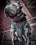 Bild in Galerie-Betrachter laden, The "Haunted'' collar LIMITED - Pet Collars & Harnesses from Bestia Dog Gear