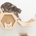 Load image into Gallery viewer, Cat Bed on Wall Light, wooden hexagonal cat condo with curved cushioned bed and a cat perched.