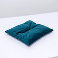 Charger l'image dans la visionneuse de la galerie, Cat Cushion Pillow Emerald Modular Designed For Wood Hexagon Shelves by Enjoy The Wood