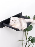 Load image into Gallery viewer, Cat Hammock Shelf by Enjoy The Wood B2B, black fabric wall-mounted hammock with a lounging cat