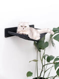 Load image into Gallery viewer, Cat Hammock Shelf, wall-mounted black fabric hammock with a resting cat