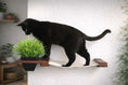 Load image into Gallery viewer, Cat Hammock Wall with Planter, white fabric hammock with wooden brackets and a green plant planter