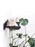 Load image into Gallery viewer, Cat Hammock Shelf; wall-mounted black fabric cat perch with bracket beside a leafy plant.