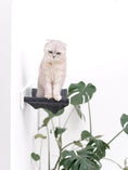 Load image into Gallery viewer, Cat Hammock Shelf by Enjoy The Wood B2B; black fabric hammock on white wall mount with a cat.