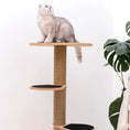 Cargar la imagen en la vista de la galería, Eco Friendly Compact Cat Tower Sustainable Plywood Climbing Levels by Enjoy The Wood