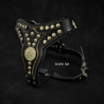 Bild in Galerie-Betrachter laden, The "Maximus" harness V2 - Pet Collars & Harnesses from Bestia Dog Gear