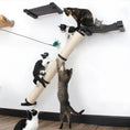 Bild in Galerie-Betrachter laden, Slanted Cat Scratcher for Wall by Catastrophic Creations; beige sisal post with black brackets, several cats climbing