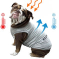 Load image into Gallery viewer, Active Cooling Dog Shirt | Evaporative & UPF 50