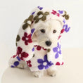 Load image into Gallery viewer, Small Dog Flannel Cape Towel by SOCKPET, cream fleece with purple, pink and olive floral pattern