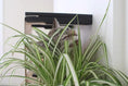 Bild in Galerie-Betrachter laden, Deluxe Cat Cubby Bed by Catastrophic Creations; black cat condo visible behind a variegated spider plant