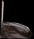 Carica l'immagine nel visualizzatore della galleria, Dispoz-A-Scoop 250-pack by HealthPro LLC; wooden-toned scoop protruding from foil-wrapped package.