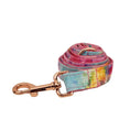 Bild in Galerie-Betrachter laden, Premium Dreamy Rainbow Print Set Complete Three Piece Dog Harness Collar Leash Collection by DDPaws