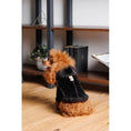 Carica l'immagine nel visualizzatore della galleria, Sheepskin dog coat, black with fluffy hood, pet apparel.