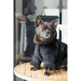 Carica l'immagine nel visualizzatore della galleria, Sheepskin dog coat in dark charcoal with plush shearling trim