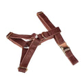 Bild in Galerie-Betrachter laden, Dusty Pink Velvet Dog Harness And Leash Set Custom Engraved No Pull by DDPaws