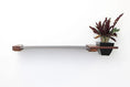 Load image into Gallery viewer, Cat Hammock Wall with Planter by Catastrophic Creations; metal bar with wood mounts and black planter.