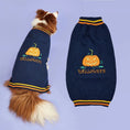 Load image into Gallery viewer, New Halloween Pumpkin Pet Sweater in blue, knit with pumpkin embroidery.