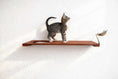 Bild in Galerie-Betrachter laden, Wall Mounted Cat Feeding Shelf by Catastrophic Creations, wooden shelf with metal bowl holder and cat on it