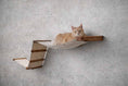 Bild in Galerie-Betrachter laden, The Raceway wall-mounted cat hammock by Catastrophic Creations, beige fabric with wooden supports.