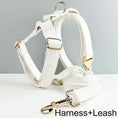 Bild in Galerie-Betrachter laden, Classic Elegance White Premium Leather Dog Walking Collar Leash Set by DDPaws