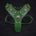 Charger l'image dans la visionneuse de la galerie, Bestia Dog Gear Eros Harness Green Premium Thick Belt Leather Support by Bestia Dog Gear