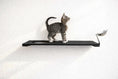 Bild in Galerie-Betrachter laden, Wall Mounted Cat Feeding Shelf by Catastrophic Creations; black wooden shelf with a metal bowl and a cat on top.