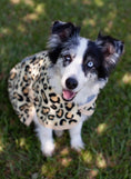 Charger l'image dans la visionneuse de la galerie, Jeffers Expression moisture-wicking leopard-print fleece dog coat