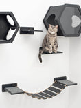 Bild in Galerie-Betrachter laden, Small Cat House by Enjoy The Wood B2B; black modular cat condo wall mounts with hex panels and a rope ramp, cat seated.