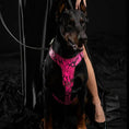 Bild in Galerie-Betrachter laden, The ''Rock Python'' harness PINK - Pet Collars & Harnesses from Bestia Dog Gear