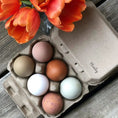 Load image into Gallery viewer, Egg carton by Henlay blank flat-top six-pack with six assorted color eggs on a wooden surface