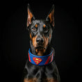 Load image into Gallery viewer, Superdog Collar - Pet Collars & Harnesses from Bestia Dog Gear