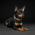 Bild in Galerie-Betrachter laden, Bestia Dog Gear Leopard Puppy Collar Luxury Collection Pre Order by Bestia Dog Gear