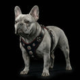 Carica l'immagine nel visualizzatore della galleria, The ''Bijou'' harness Black & Red Small to Medium Size - Pet Collars & Harnesses from Bestia Dog Gear