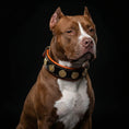 Charger l'image dans la visionneuse de la galerie, The "Bijou" collar orange - Pet Collars & Harnesses from Bestia Dog Gear