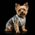 Carica l'immagine nel visualizzatore della galleria, 'Star'' Harness Small to Medium size - Pet Collars & Harnesses from Bestia Dog Gear