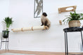 Carica l'immagine nel visualizzatore della galleria, Horizontal Scratching Post for Cats by Catastrophic Creations; beige sisal rope with wooden ends, cat perched.