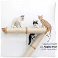 Carica l'immagine nel visualizzatore della galleria, Horizontal cat scratching post with natural sisal rope and beige wood ends; three kittens perched on top.