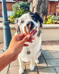 Load image into Gallery viewer, Smelt (Wild Caught) fish treats by Naked Beasts; dried fish held to a fluffy black-and-white dog.