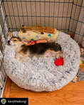 Load image into Gallery viewer, Mr. Peanut's OrthoPlush pet bed, 28-inch Snowflake White Two Tone, plush round pillow bed.