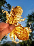 Charger l'image dans la visionneuse de la galerie, Baby octopus by Naked Beasts, golden-brown dried, wild-caught