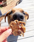 Charger l'image dans la visionneuse de la galerie, Baby octopus (wild caught) dried treat held by hand near a dog's nose