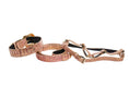 Load image into Gallery viewer, Aria Pet Leather Collar Swarovski Crystal Detail by Allysa Payne Beverly Hills