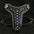 Load image into Gallery viewer, The "Rocky" studded leather harness Small to Medium Size - Pet Collars & Harnesses from Bestia Dog Gear